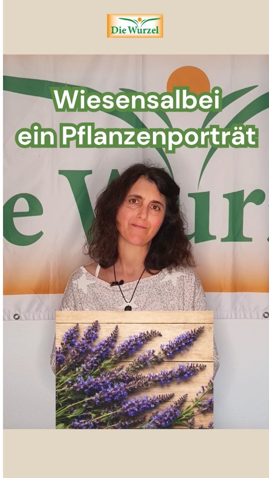🌿 Pflanzenporträt - Wiesensalbei
Wiesensalbei – ein mildes Wildkraut mit erstaunlich vielseitigen Verwendungsmöglichkeiten.
Traditionell wird Wiesensalbei unter anderem bei Verdauungsbeschwerden und Frauenleiden eingesetzt. 🌱 Auch in der Zubereitung ist er vielseitig: als Tee, Tinktur oder auf andere Weise.
👉 Kennst du den Wiesensalbei schon?
#wiesensalbei #wildkräuter #wildkraut #pflanzenwissen #kräuterwissen #heilpflanzen #pflanzenporträt #kräuterkunde #naturwissen #wildpflanzen
#diewurzel